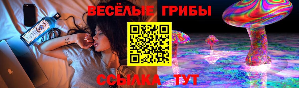 Галлюциногенные грибы мухоморы Грозный
