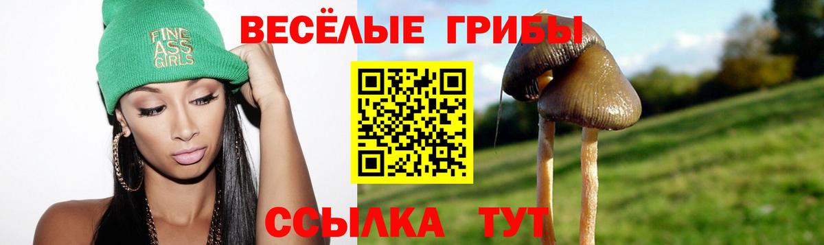 Псилоцибиновые грибы GOLDEN TEACHER  Вход с VPN  Грозный 